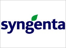 SYNGENTA